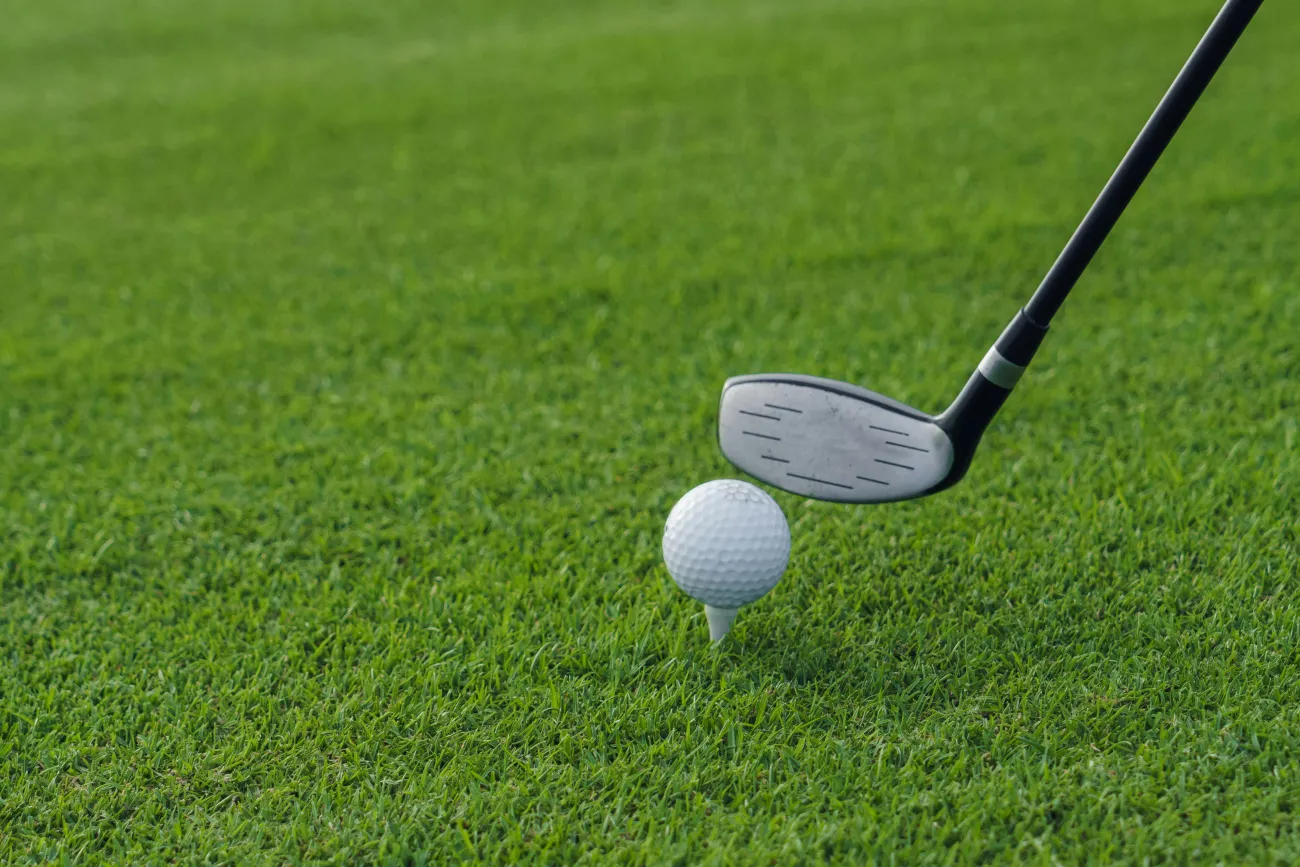 Delfzijl golf